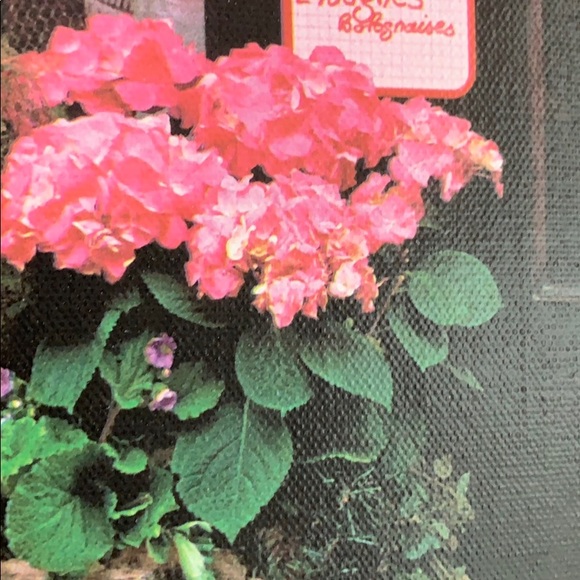 Meet your Posher, Karen - Picture 2 of 5